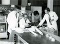 Laborräume in der Fa. Grundig an der Stadtgrenze, Juni 1966