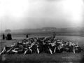 Massengrab der 54 Opfer des Brandunglücks im Pulvermagazin 1917 (im Hintergrund ist die <!--LINK'" 0:95--> und das <!--LINK'" 0:96--> zu erkennen)
