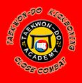 Logo: Taekwon-Do Academy Fürth