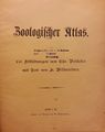Zoologischer Bilderatlas mit Texten von Hans Wildensinn. <!--LINK'" 0:33-->, um 1910