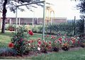 Portalkran an den Ladegleisen vom Bahnhof Vach aus dem Garten der  Villa aus - Aufnahme von <a class="mw-selflink selflink">1972</a>