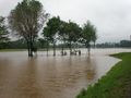 Überschwemmter Weg zum Wasserrad bei Stadeln, Juni 2013