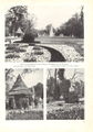 Gartenschau Grünen und Blühen, Bildteil der Zeitschrift <i>Garten und Landschaft</i>, Ausgabe Juni 1951, S. 11