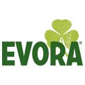 Evora Logo 2017.jpg