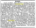 Bericht, Fürther Tagblatt vom 25. April 1868