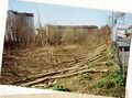 ungenehmigte Abholzaktion am verwilderten  Areal, im Hintergrund die  mit Hochhaus , rechts die  im März <a class="mw-selflink selflink">2007</a>