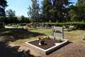 abgeräumte Gräber im Friedhofs Stadeln - im Hintergrund das <!--LINK'" 0:196--> - Juni 2022