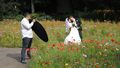  Fürth 2014 - Hochzeitsfoto mit vollem Fotografeneinsatz