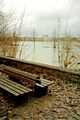 Pegnitz-Hochwasser, im Hintergrund Häuserzeile am <!--LINK'" 0:226--> mit Y-Hochhaus <!--LINK'" 0:227-->, Dezember 1993