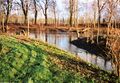 radikale Abholzaktion des Wasserwirtschaftsamtes am [[Rednitz]] Ufer an der Einmündung des [[Scherbsgraben (Gewässer)]] im Dezember 2007
