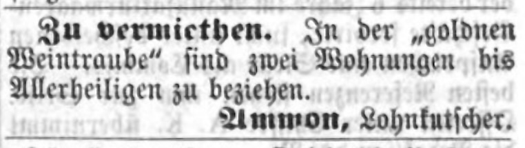 Datei:1865-06-24 FÜ-Tagblatt Ammon.jpeg