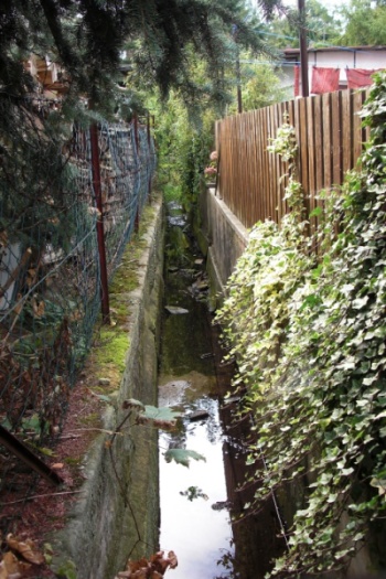 Dambach (Gewässer).jpg