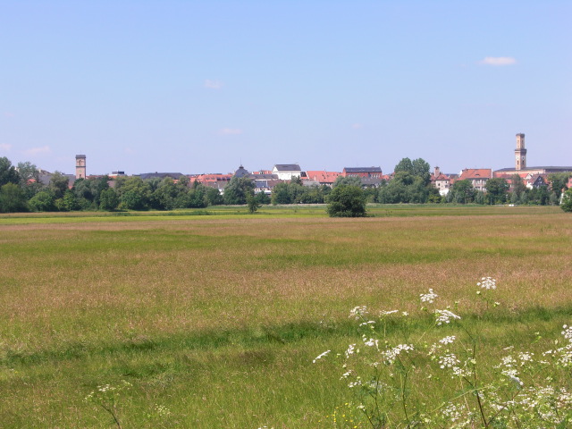Wiesengrund an der Pegnitz.jpg