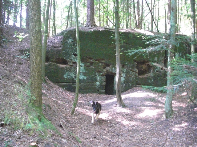 Datei:Stadtwald II.jpg