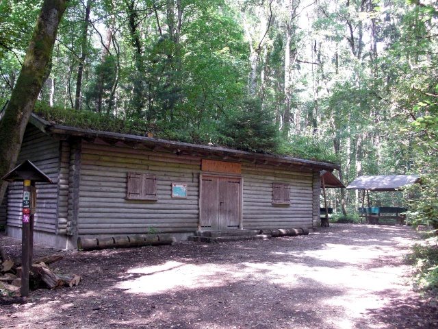 Datei:Stadtwald XI.jpg