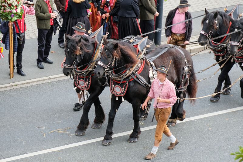 Datei:Erntedankfestzug Okt 2017 35.jpg