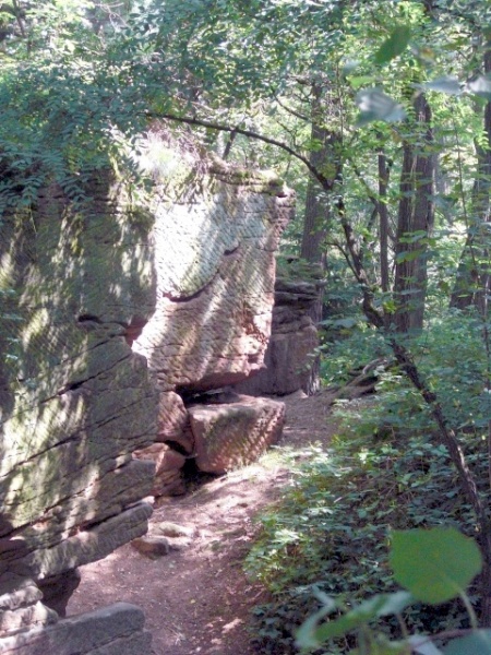 Datei:Stadtwald VII.jpg