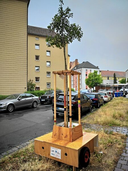 Datei:2022-06-24 Wanderbaumallee (1).jpg