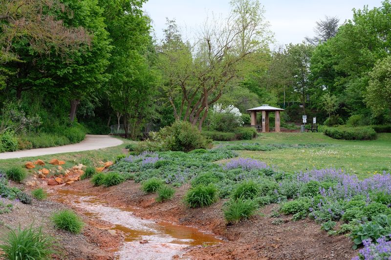 Datei:Kleine Mainau April 2019 8.jpg
