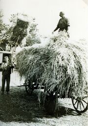 NL-FW 09 KP 035 Georg Mehl Kleinleins-Bauernhof.jpg