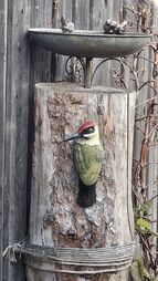 Specht Erlanger Straße 132 19.11.2025.jpg