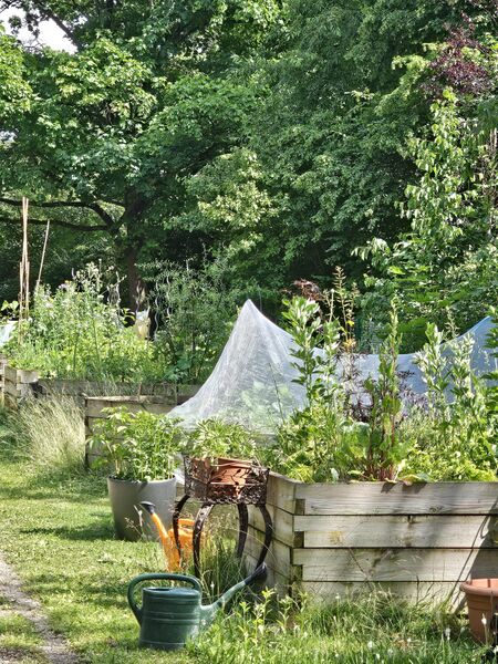 Datei:2025 06 16 22 33 Office Lens.jpg