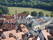 Störche Gustavstraße 2018.JPG