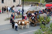 Erntedankfestzug Okt 2017 97.jpg