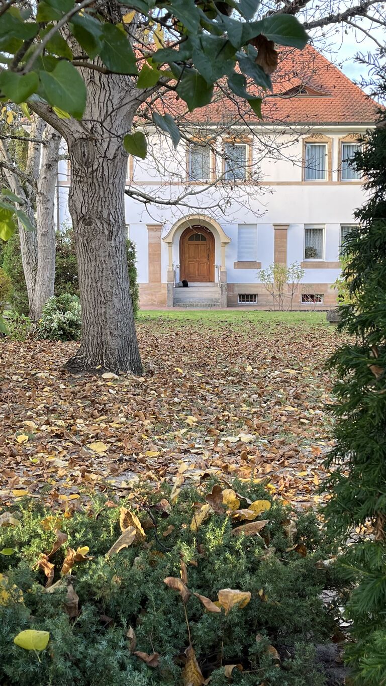 Weiherhofer Straße 53 Frontansicht.jpeg