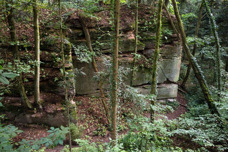 Datei:2021 Steinbruch Heilstättensiedlung 02 .jpg