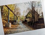 NL-FW 04 1668 KP Schaack Wolfsschlucht 2001.jpg