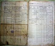 Grundsteuer Kataster Auszug Stadeln 1900.2.jpg