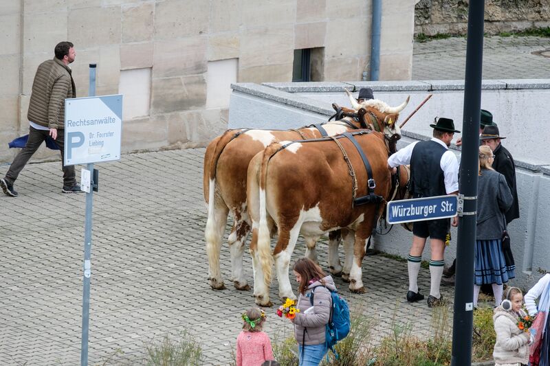 Datei:Erntedankfestzug Okt 2017 91.jpg