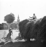 NL-FW 09 KP 402 Heuernte 1935.jpg