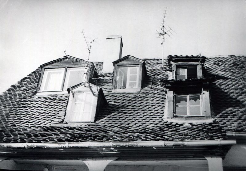 Datei:Gänsberg 22.jpg