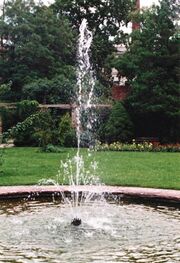 NL-FW 04 926 KP Schaack Stadtpark Aug 1994.jpg