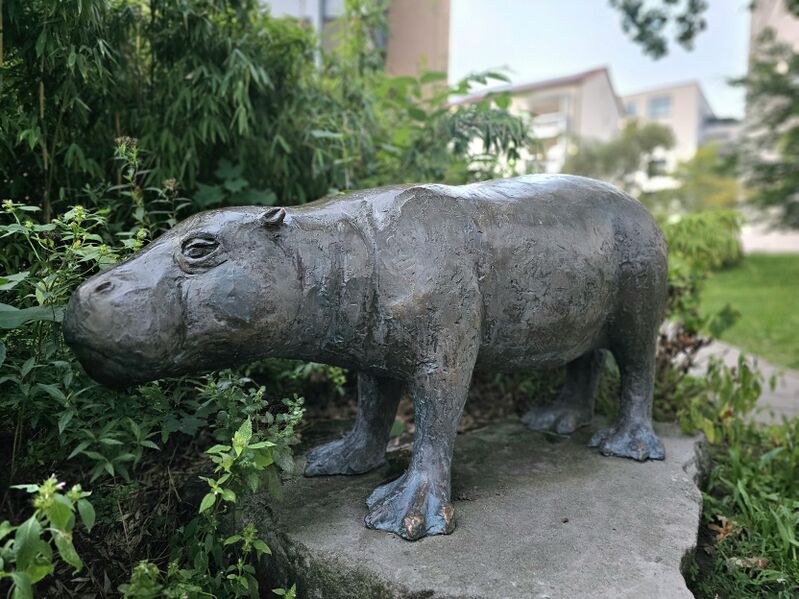 Datei:2025 08 23 Elsbeth.jpg