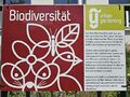 Garten Landwirtschaftsschule Infotafel zu Biodiversität, Juni 2025 <span class="smw-highlighter" data-type="8" data-state="inline" data-title="Hinweis" title="Urheber: LadyJErstellungsdatum: 8. Juni 2025Lizenz: cc-by-sa-4.0"><span class="smwtticon note"></span><span class="smwttcontent">Urheber: LadyJ<br>Erstellungsdatum: <!--LINK'" 0:14--> <!--LINK'" 0:15--><br>Lizenz: cc-by-sa-4.0</span></span>