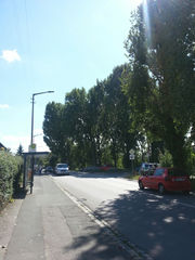 Höfener Spange 10.jpg