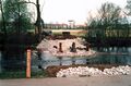 Bau einer Behelfsbrücke über die <a class="mw-selflink selflink">Pegnitz</a> im Rahmen der Baumaßnahme <i>Regenüberlaufbecken</i> im <!--LINK'" 0:12-->, April 2000