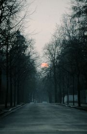 Sammlung Körnlein Lindenstraße.jpg