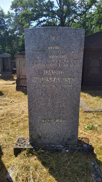 Datei:David Warszawski.jpg