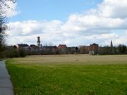 Wiesengrund 2015 04 05 0074.JPG