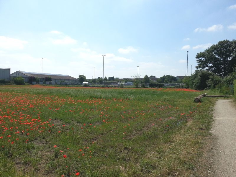 Datei:Felder Hans-Bornkessel-Straße.jpg