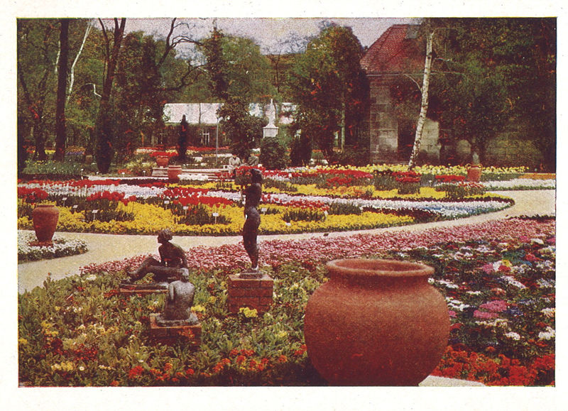 Datei:Postkarte Grünen und Blühen 5.jpg