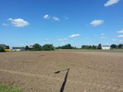 Höfener Spange 3.jpg