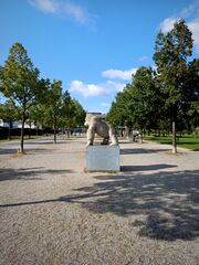 2024-09-15 Gorilla mit Sattel (1).jpg