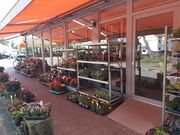 Blumen Hannweg Ronhof 5.jpg