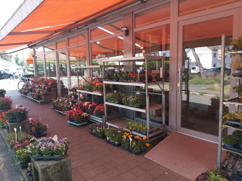 Datei:Blumen Hannweg Ronhof 5.jpg