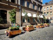 2024-07-09 Wanderbaumallee.jpg